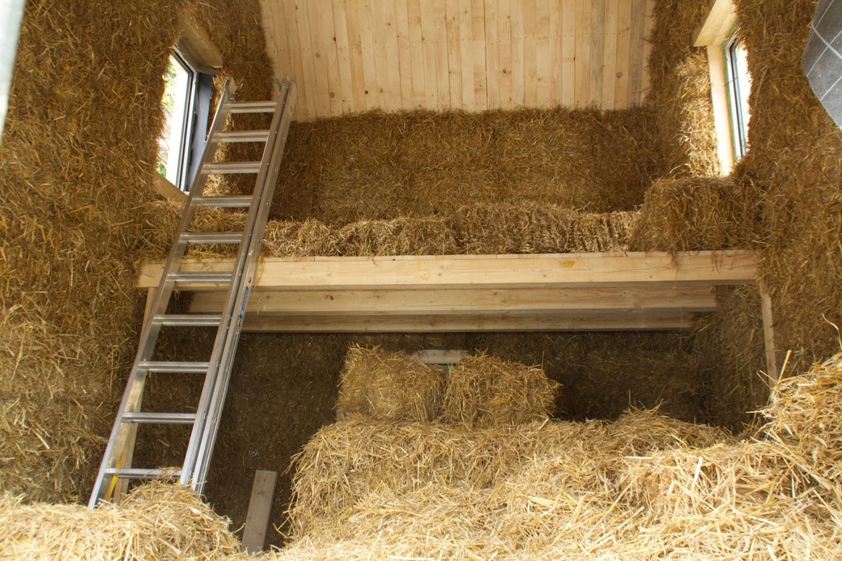 Фото: Маркус Поллах