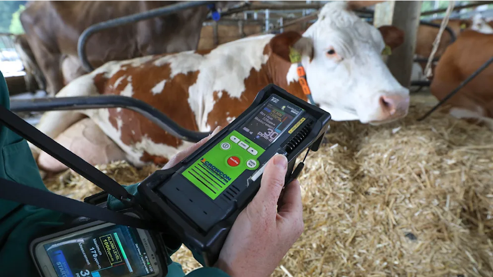 Научный сотрудник держит в руках детектор метана, измеряющий выбросы метана в выдыхаемом воздухе коров.