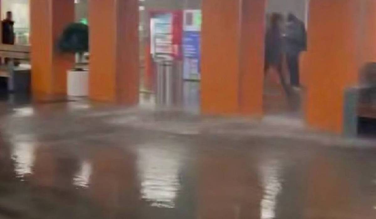    Фото: скриншот видео / Осторожно, Москва / Telegram