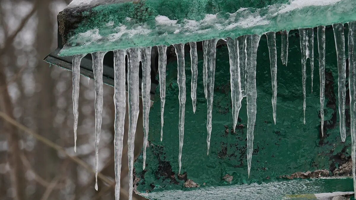    Фото: vm.ru Диана Петровская