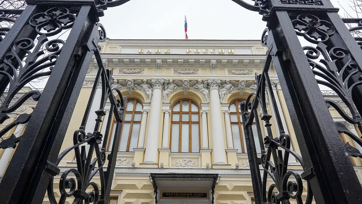    Фото: vm.ru Виктор Павлов