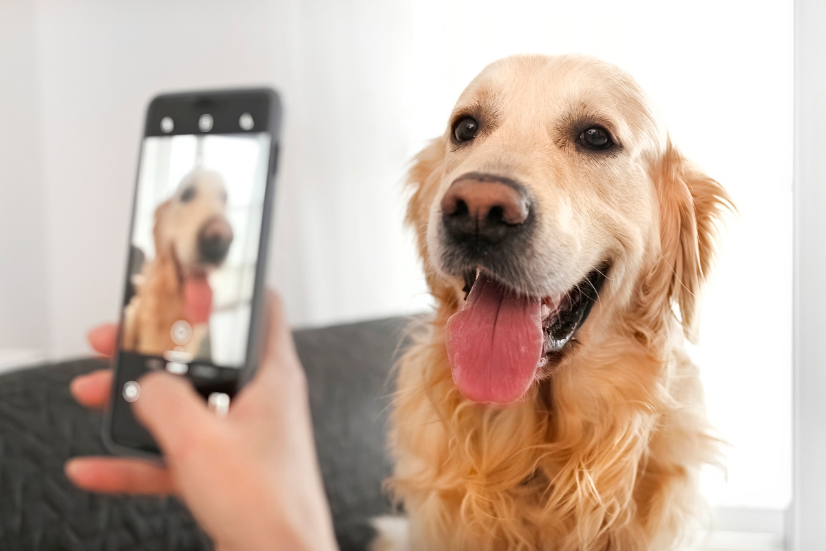    Фото: In Green / Shutterstock.com