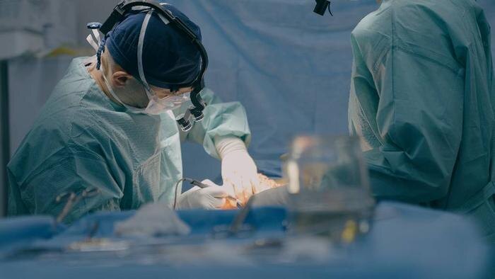 Обложка © Shutterstock / FOTODOM / MAYA LAB