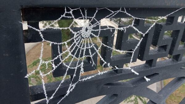    © РИА Новости Крым