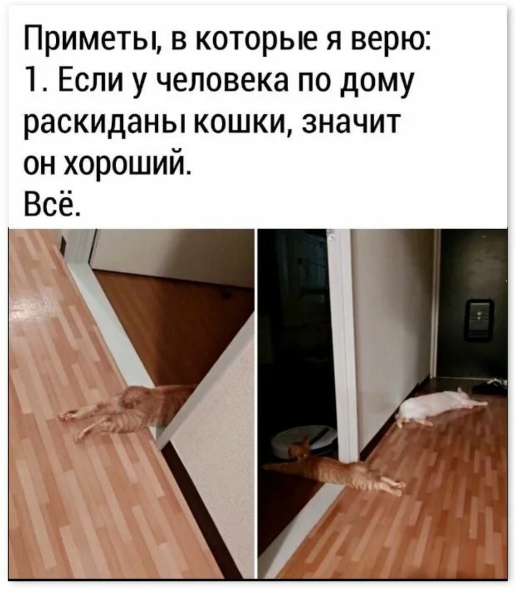 Яндекс-картинки 