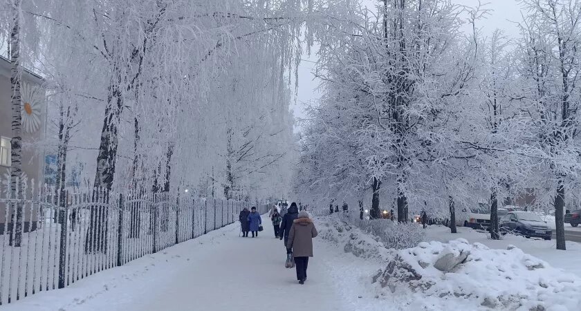    Фото progorod43.ru