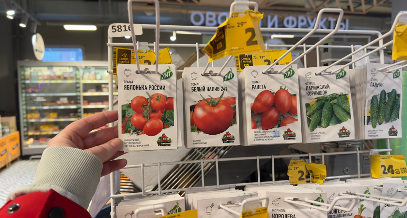    Фото progorod43.ru