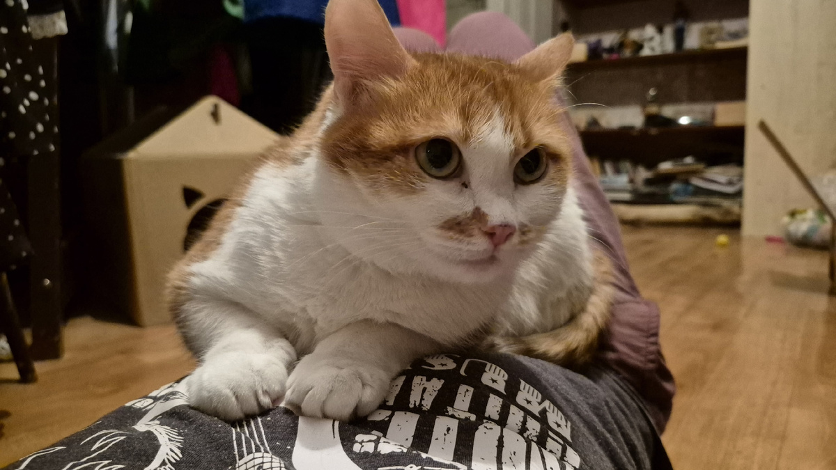 на моих ребрах