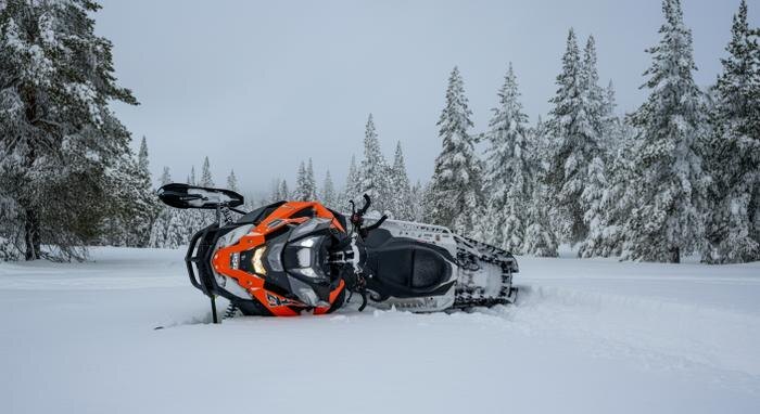 Обложка © Shutterstock / FOTODOM / Shutterstock AI