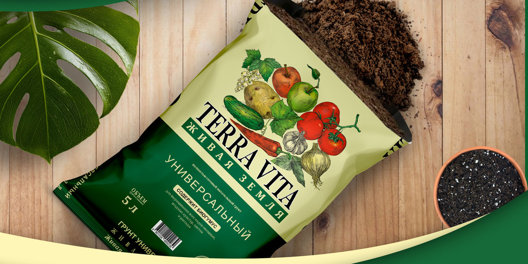 Нужно ли прокаливать грунт перед посадкой рассады? Поговорим честно