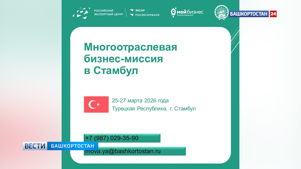    Объявлен набор компаний для участия в многоотраслевой бизнес-миссии в Стамбул