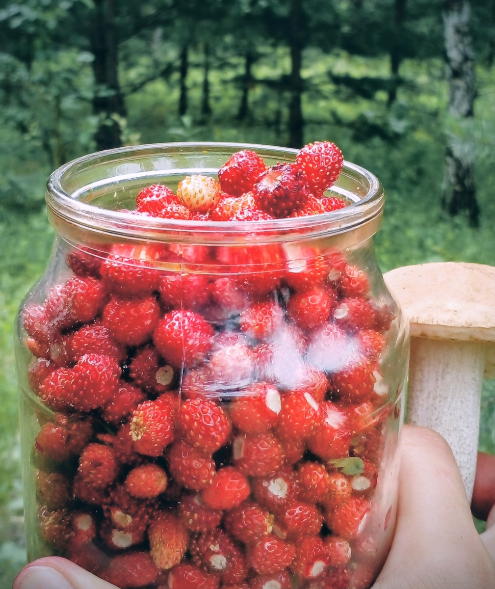 Нынешнее время