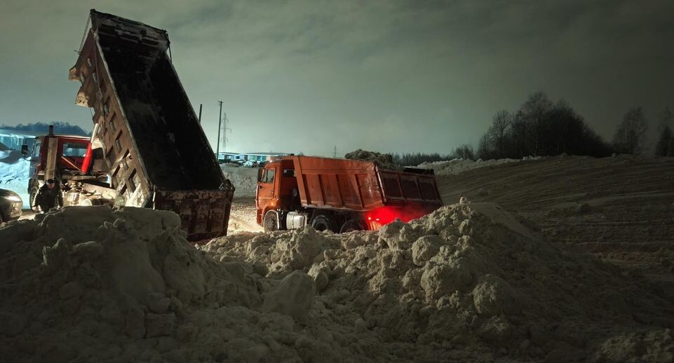    МедиаБанк Подмосковья/Юлия Андросова
