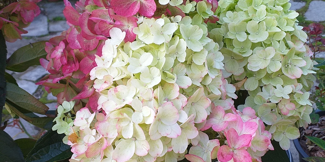 Ответ на частый вопрос