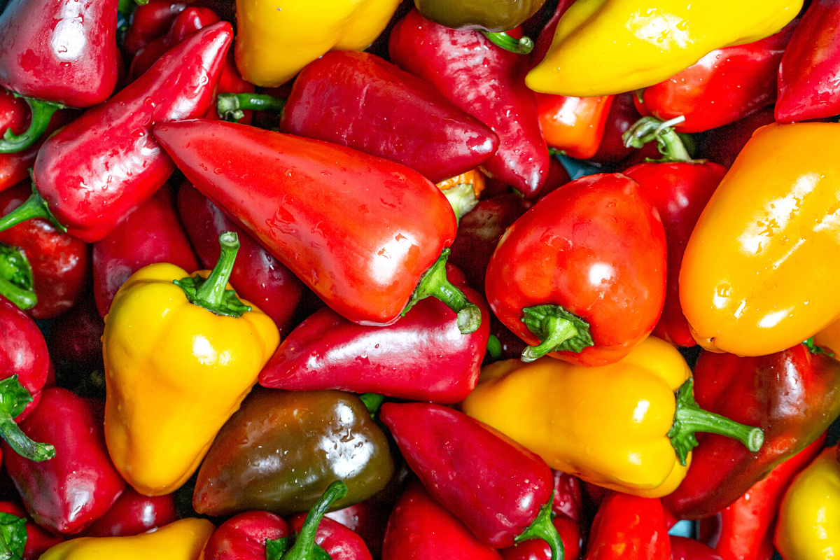 Каждый огородник мечтает о щедром урожае сладкого перца 