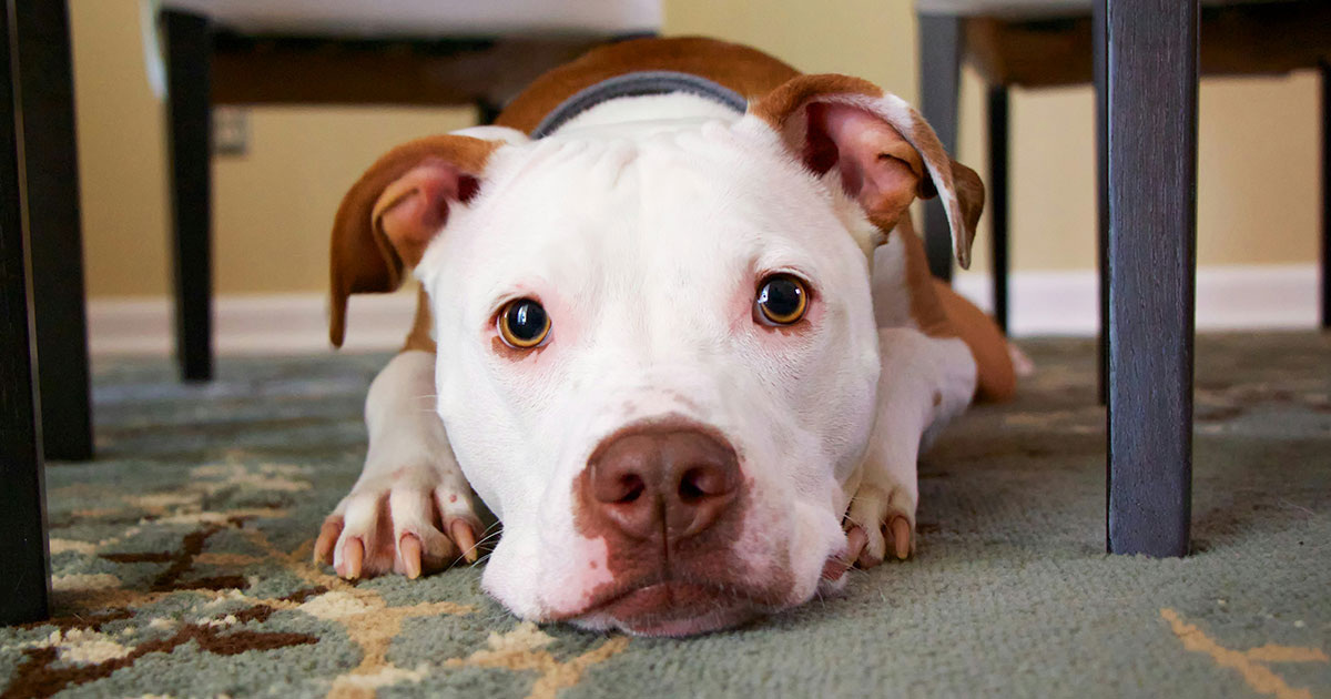 Mike Burke / Unsplas