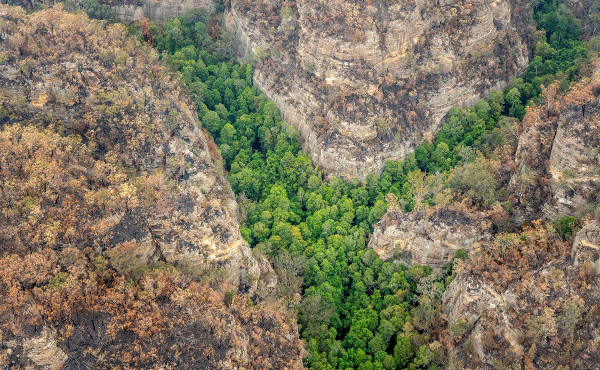 New South Wales National Parks and Wildlife Service / Reuters