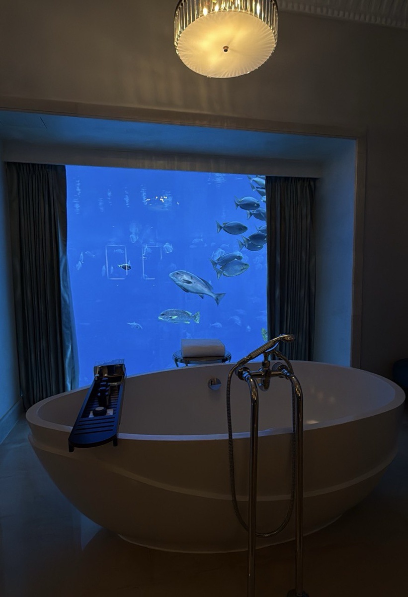 Подводный номер