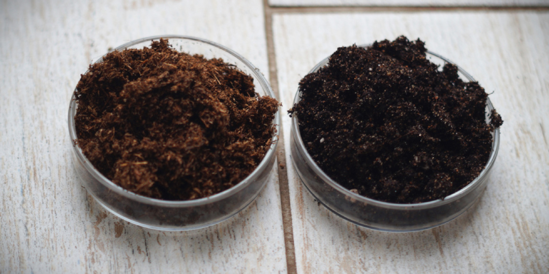 Нашла идеальный грунт для рассады! Ценой проб и ошибок.