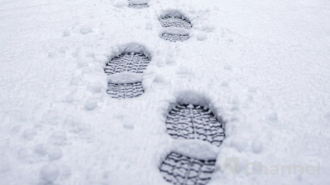 Фото: Изображение создано при помощи нейросети