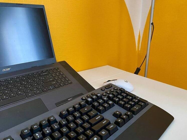     Новгородцам доступны пять образовательных программ. Фото: Архив МК в Великом Новгороде