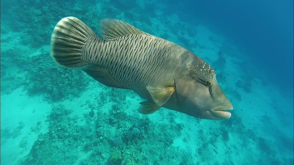 Фото из свободного источника интернет 