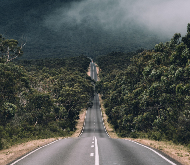 Картина для настоящего мужчины