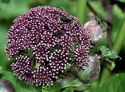 Фото интернет