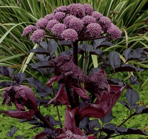 Из интернета