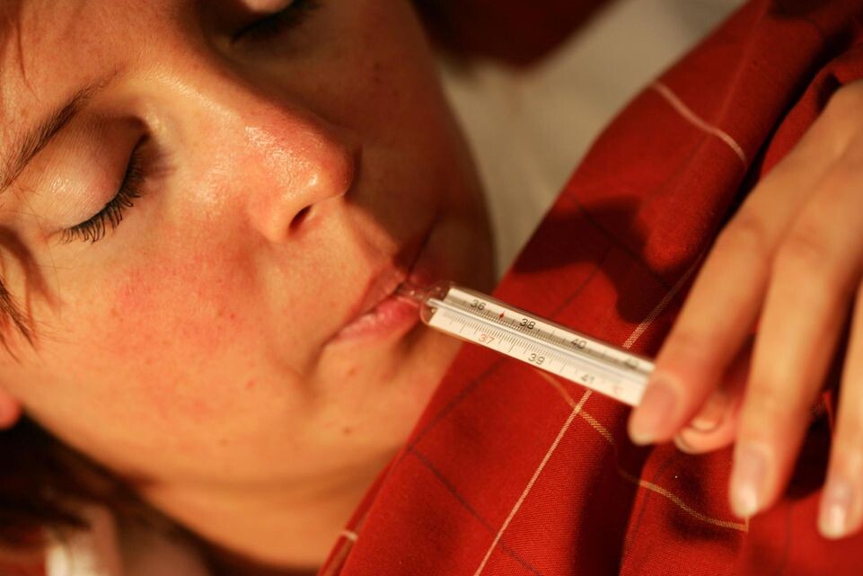    Jochen Tack/http://imagebroker.com/#/search / www.globallookpress.com