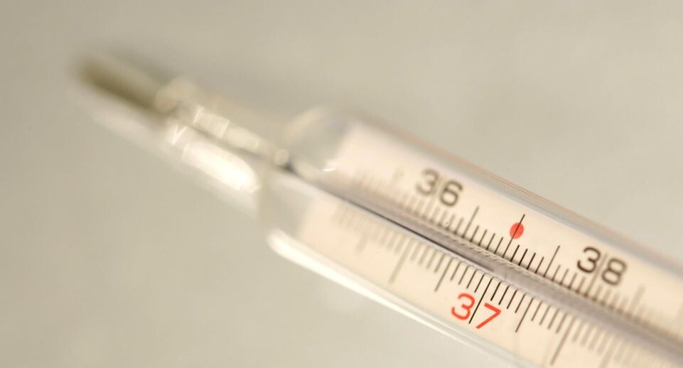    Jochen Tack/http://imagebroker.com/#/search / www.globallookpress.com