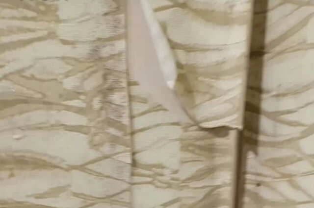    Фото: Из личного архивa/ Вячеслав Широких