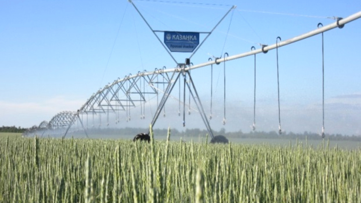 фото: минсельхоз РТ