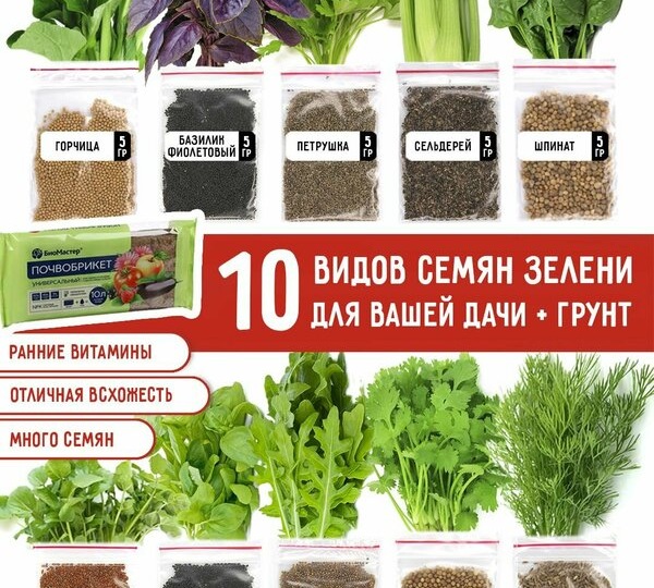 Набор «10 видов зелени» + почвобрикет: Мой персональный витаминный конвейер с подоконника до грядки