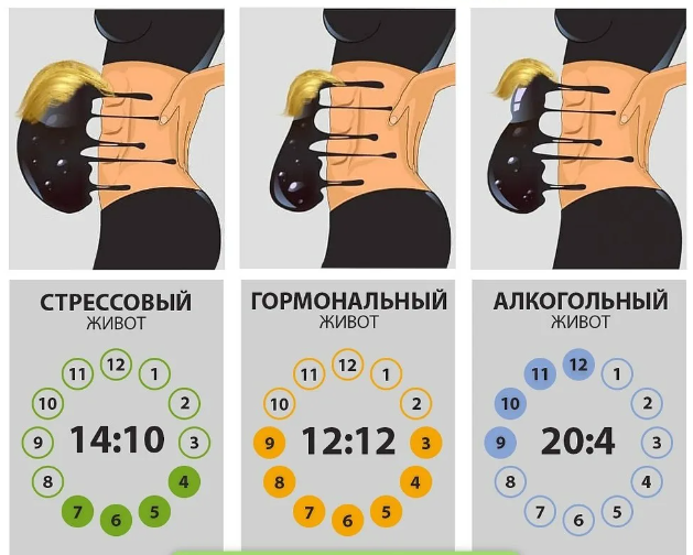 Интервальное питание в совокупностью с соблюдением калорийности поможет убрать живот, какого бы происхождения он ни был. 