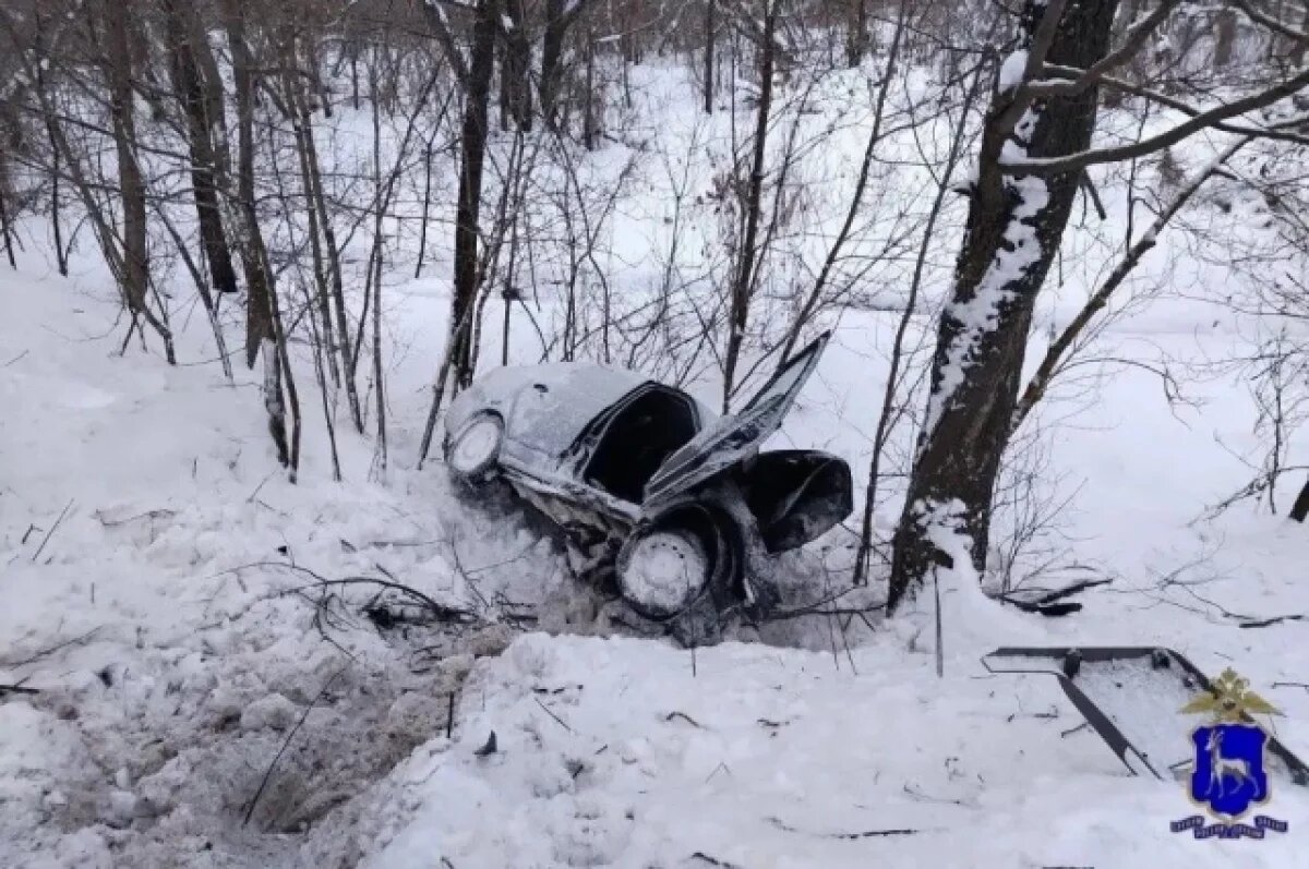    В Самарской области молодой водитель ВАЗ-2112 влетел в дерево и погиб