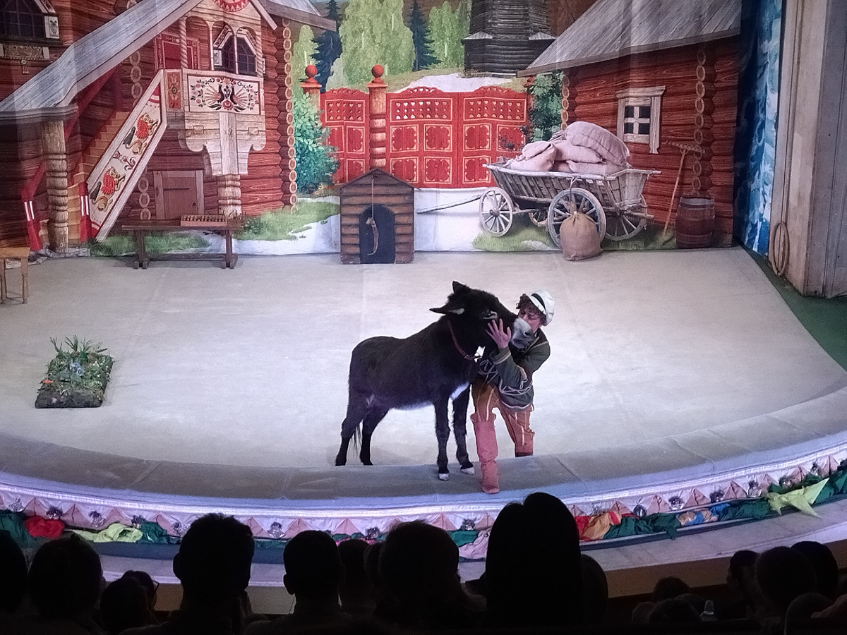 Милый ослик