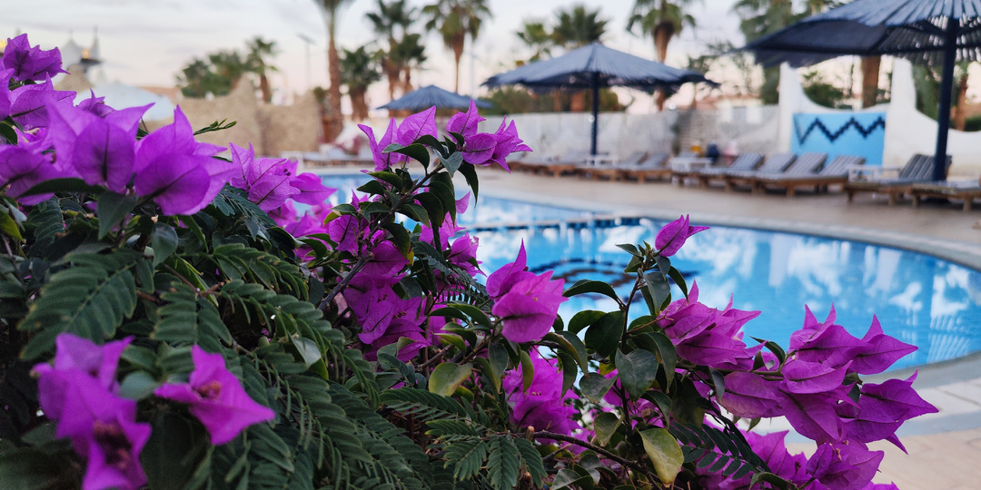 Первый раз в Египте в январе. И первый раз в трешке. Отель в Шарме Turquoise Beach 3*