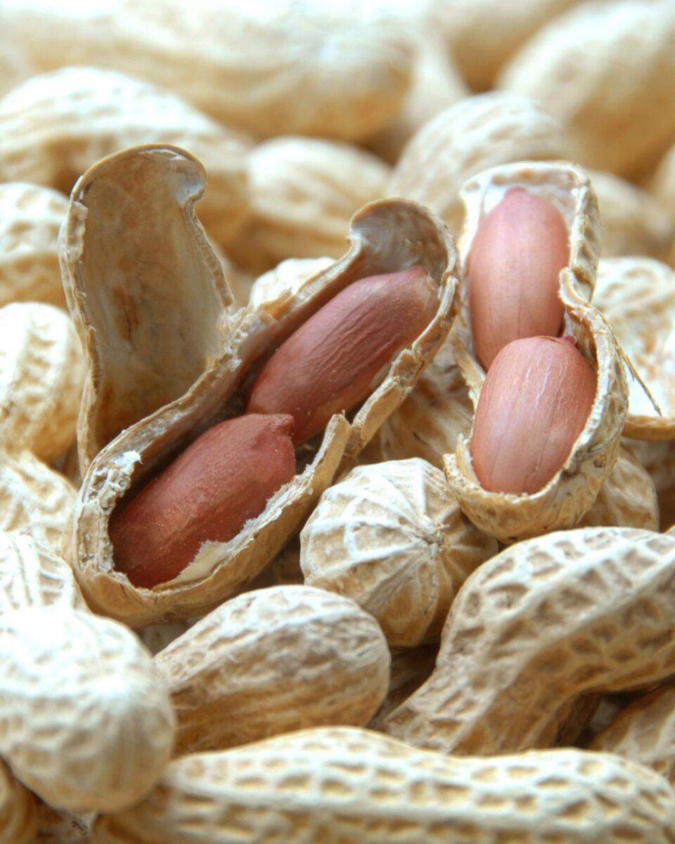 Источник фото: Canva