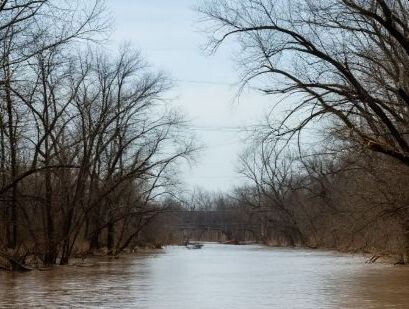 Изображение сгенерировано нейросетью.