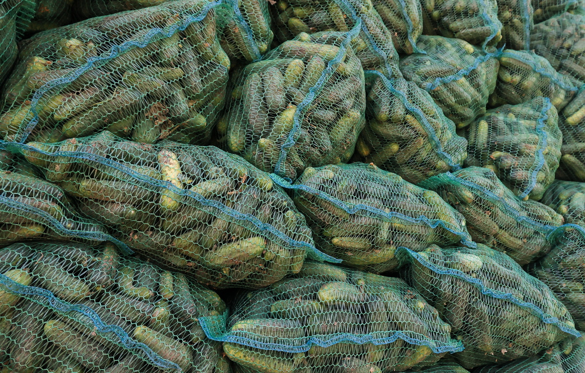 Дмитрий Рогулин/ТАСС