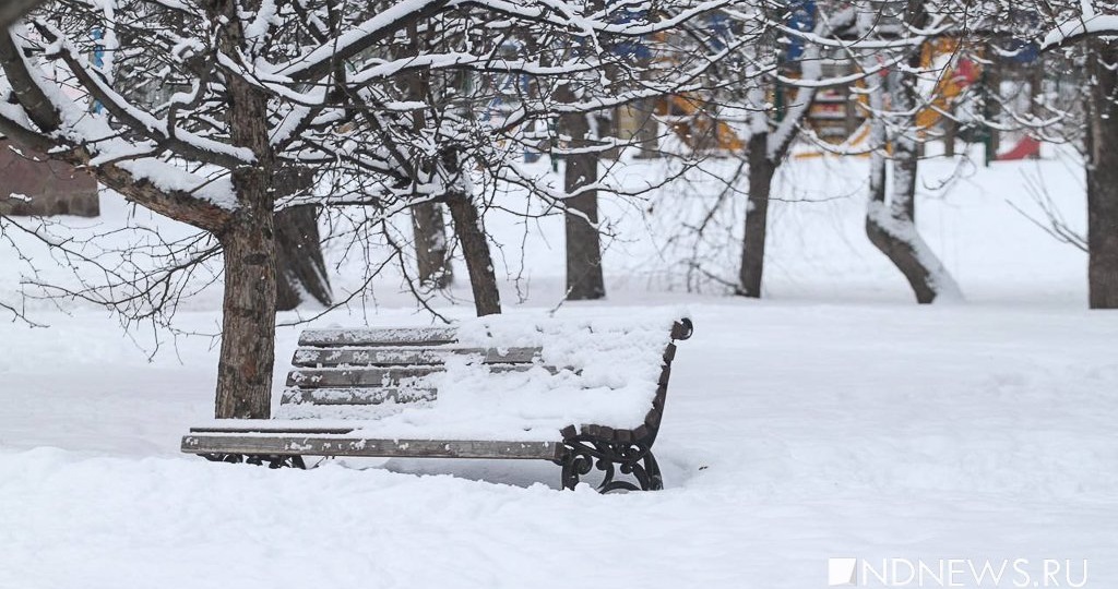 Сквер в Железнодорожном районе назвали в честь Жоржа Токарева