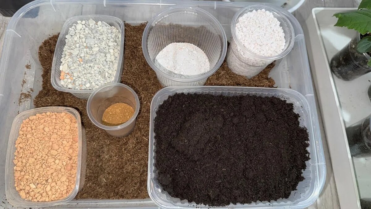 Подготовка грунта для рассады