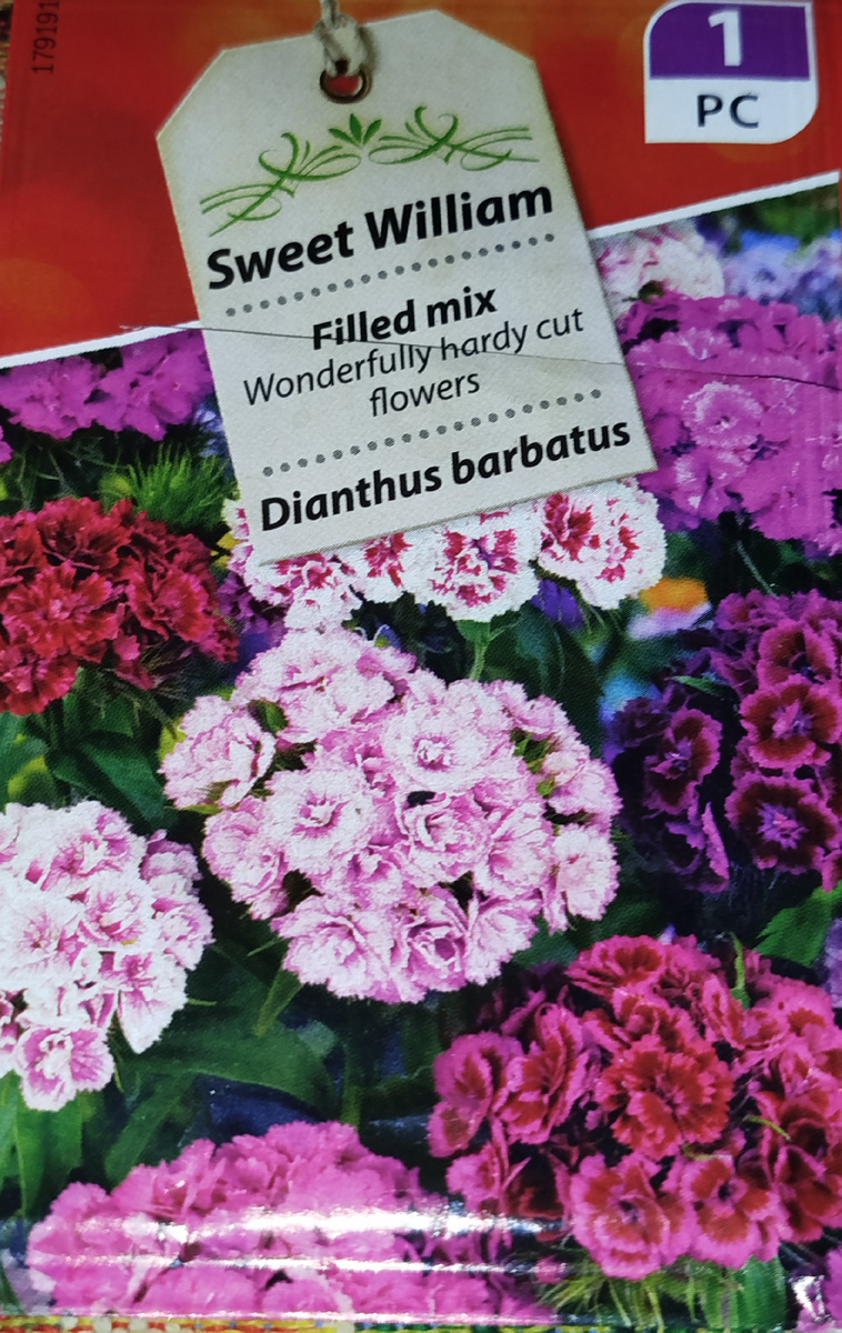 Фото автора. Что было посажено.