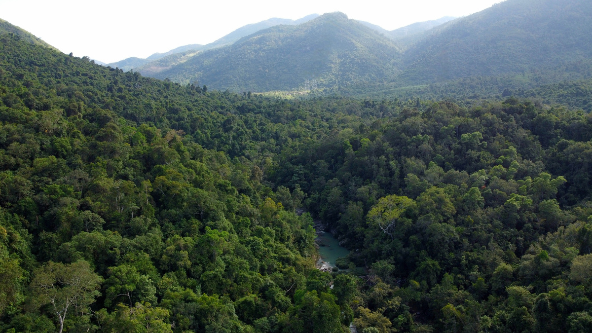 Долина горной реки