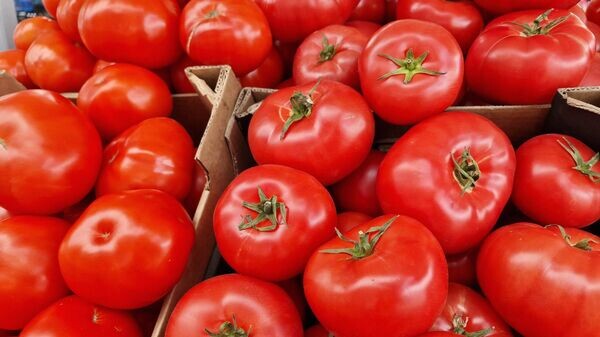    © Sputnik / Александр Жибуль