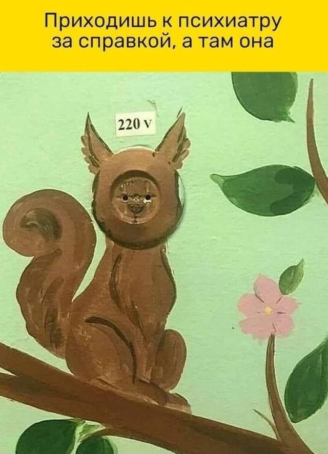 Смех из социальных сетей! Забавные шутки, забавные случаи и веселые рассказы. Фото взято из общедоступных ресурсов соцсетей