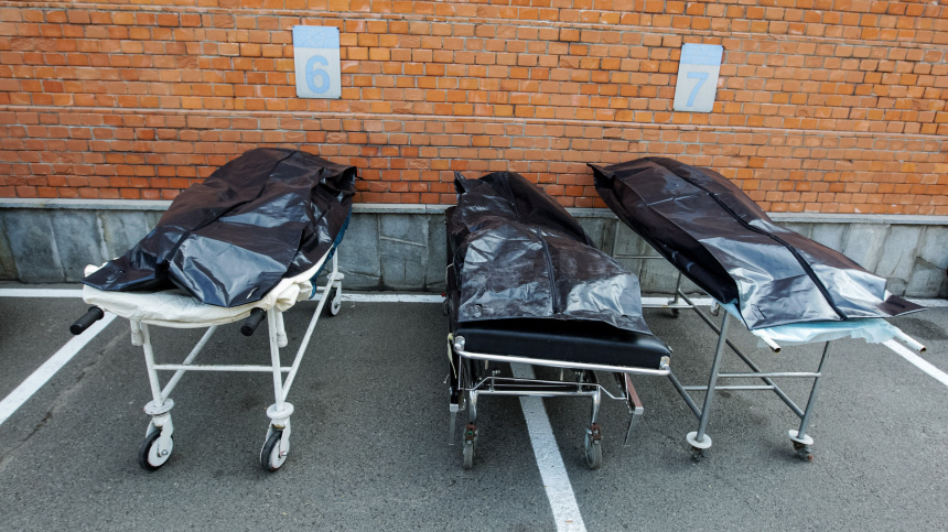    Фото: www.globallookpress.com/Pavlo Gonchar