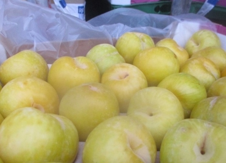 Специлисты петербургского Россельхознадзора не пропустили нектарины с опасной гнилью