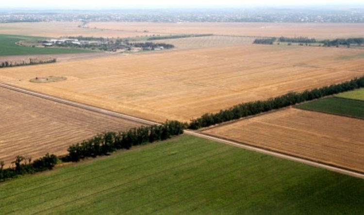    Фото: Минсельхоз РФ